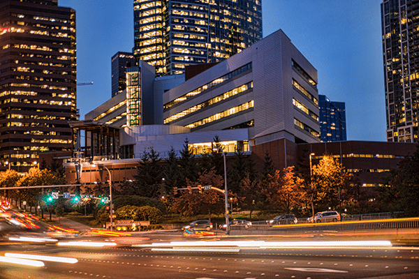 bellevue 贝尔维尤